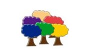 Rainbow Wood